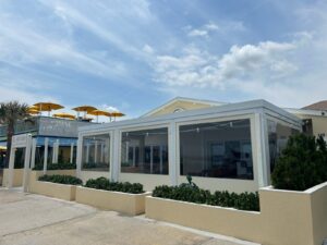 fenetex-clear-screen garage door - ace garage door